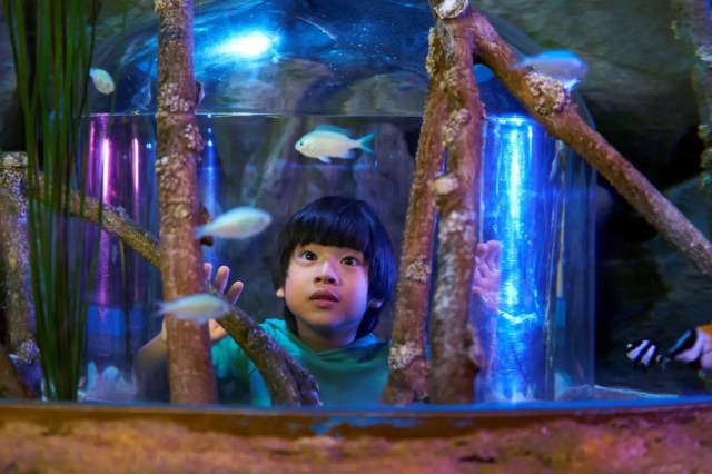 SEA LIFE Bangkok Ocean World ที่เที่ยววันเด็ก