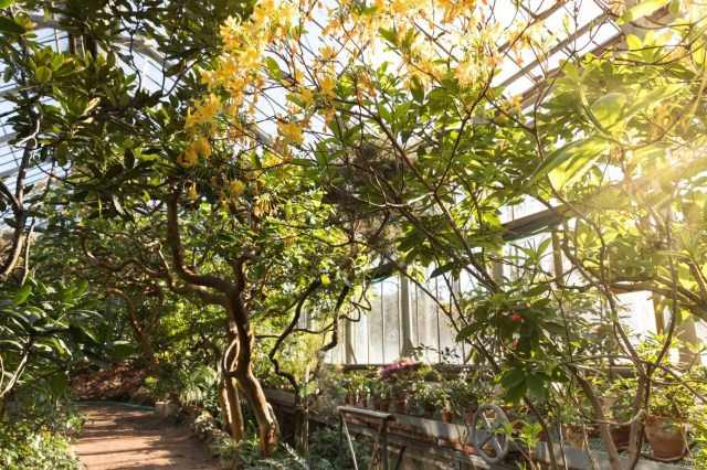 suggesting-rainy-season-activities-take-your-children-to-explore-nature แนะนำกิจกรรมหน้าฝน พาลูกสำรวจธรรมชาติ