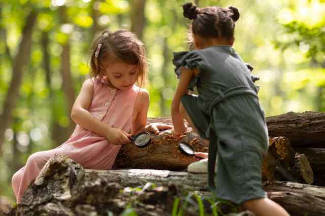 teamwork ประโยชน์ของการเรียนรู้นอกห้องเรียน คือช่วยส่งเสริมการทำงานเป็นทีม