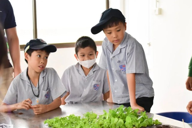 การปลูกต้นไม้ทดแทนก็เป็น 1 ในกิจกรรมที่ช่วยส่งเสริมแนวคิด Eco-friendly