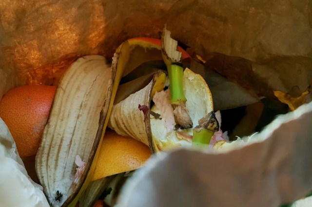 fruit-peels-are-a-type-of-food-waste-that-is-inedible เปลือกผลไม้เป็น Food Waste ประเภทที่กินไม่ได้